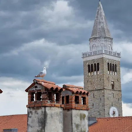 Apartma * Koper